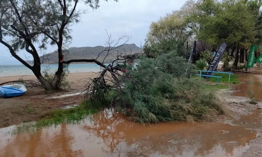 Εκτός ελέγχου η κατάσταση στη Λήμνο από την κακοκαιρία «Bora»: Ένας άνδρας βρέθηκε νεκρός (βίντεο)